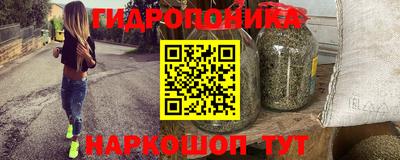 прущие грибы Будённовск
