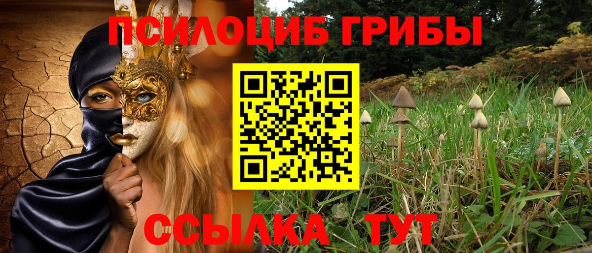 Троицк  Псилоцибиновые грибы Cubensis  Галлюциногенные грибы Psilocybe  Вход с VPN 